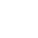 Project Managers
